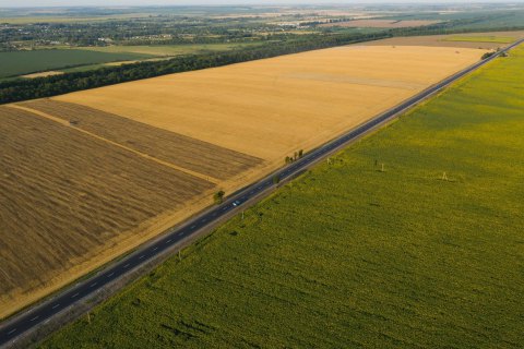 Українці назвали найбільші здобутки року