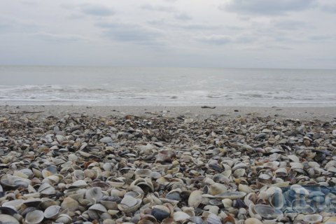 Росію відсторонили від участі в Раді держав Балтійського моря