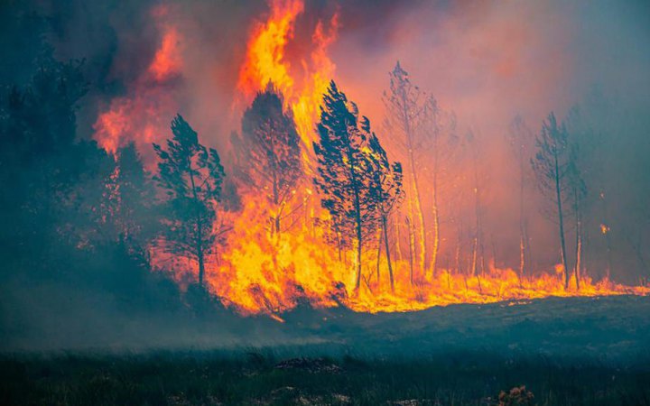 Смертельна спека в Західній Європі: люта хвиля тепла рухається на північ