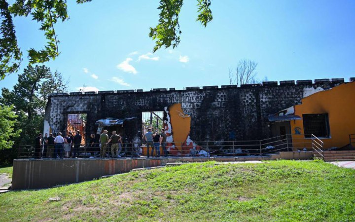 На Київщині хочуть створити мистецьку резиденцію імені Марії Примаченко