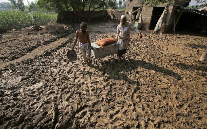 Пакистан веде перемовини з Росією щодо імпорту пшениці, аби компенсувати втрачений через повені урожай