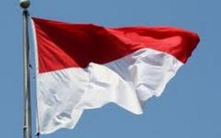 В Індонезії відбулася серія землетрусів