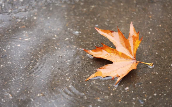 Листопад у Києві був теплішим за норму