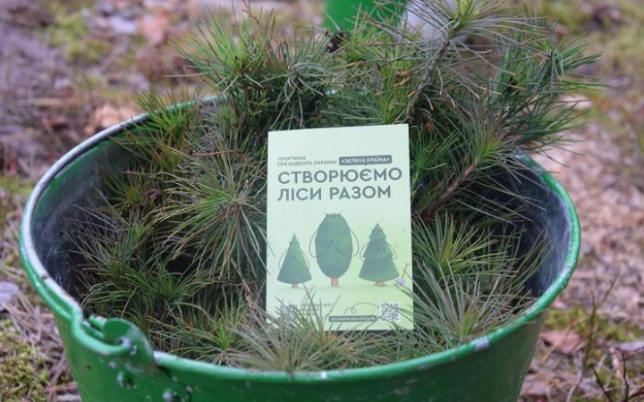 В Україні схвалили єдині правила впорядкування лісів