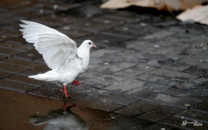 У п’ятницю на півдні України потепліє до +11