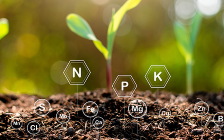 Експорт добрив із Росії, хоч і не підлягає санкціям, залишається обмеженим, – Bloomberg