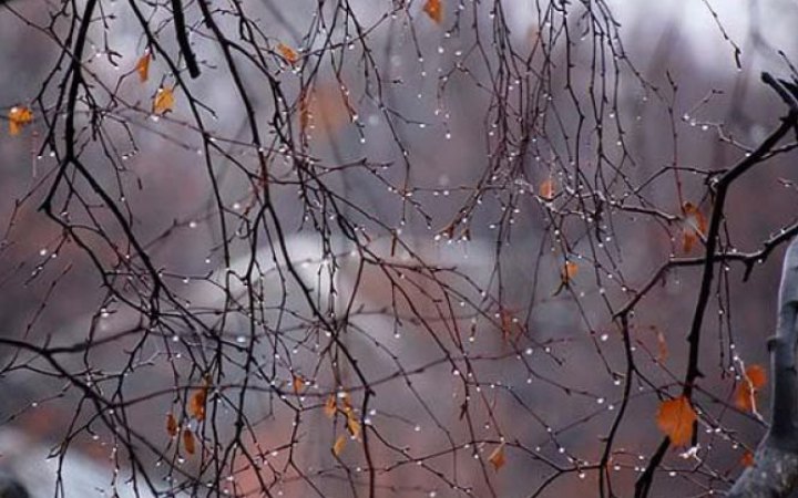 Весна в Україні розпочнеться з теплої погоди, місцями мокрий сніг