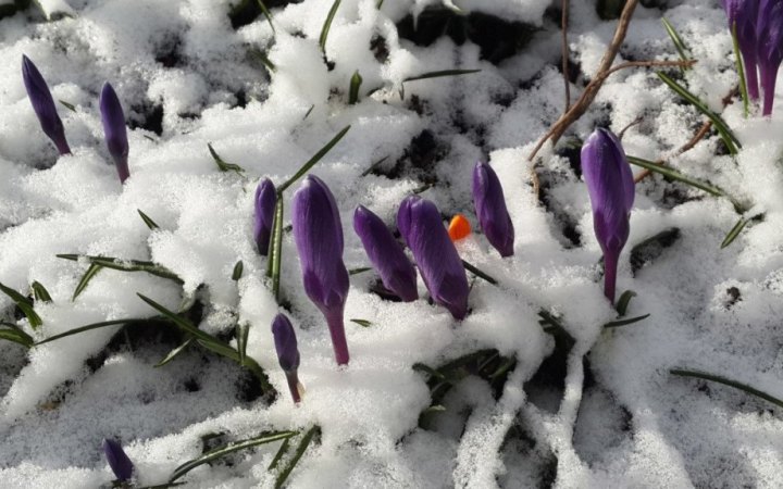 У п’ятницю в Україні збережеться тепла погода переважно без опадів