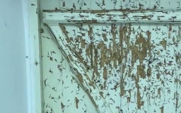 Охорона УПЦ МП використовувала старовинні двері у Лаврі як мішень, – Мінкультури