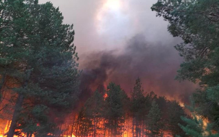 До кінця тижня на Київщині та в столиці буде надзвичайний рівень пожежної небезпеки