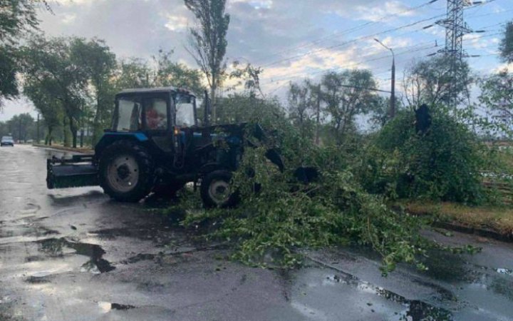 У Запоріжжі через негоду дерева попадали на дороги і пошкодили електричні дроти