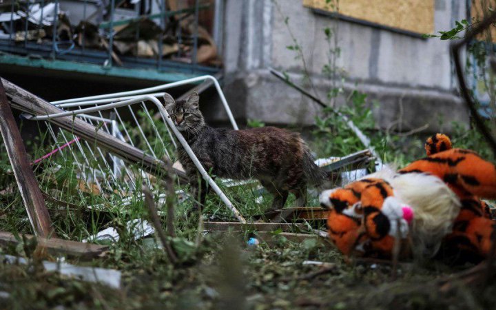 Ювенальні прокурори повідомили про 503 дітей, яких вбила Росія