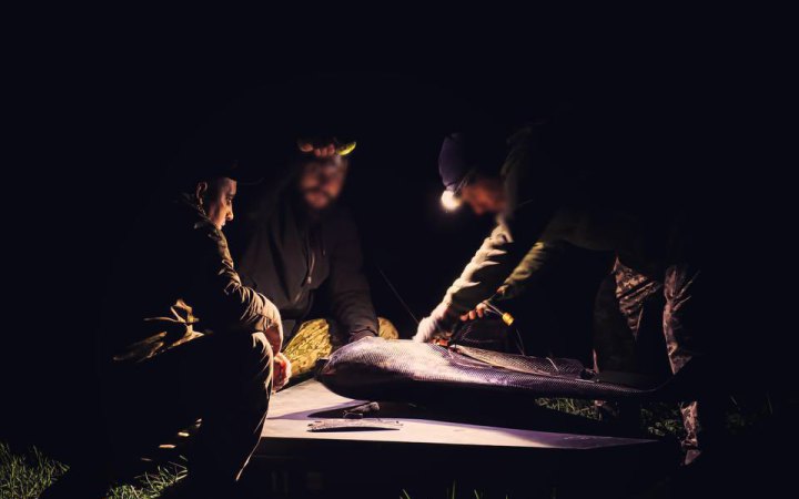 Росія атакувала Київщину ракетами і дронами