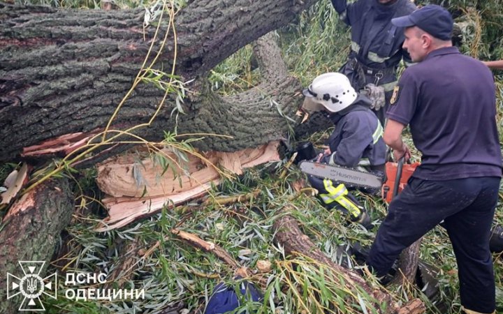 На Одещині дерево впало на намет із підлітками, один хлопець загинув