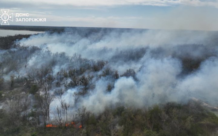 У Запоріжжі горіла Хортиця: ДСНС залучила техніку