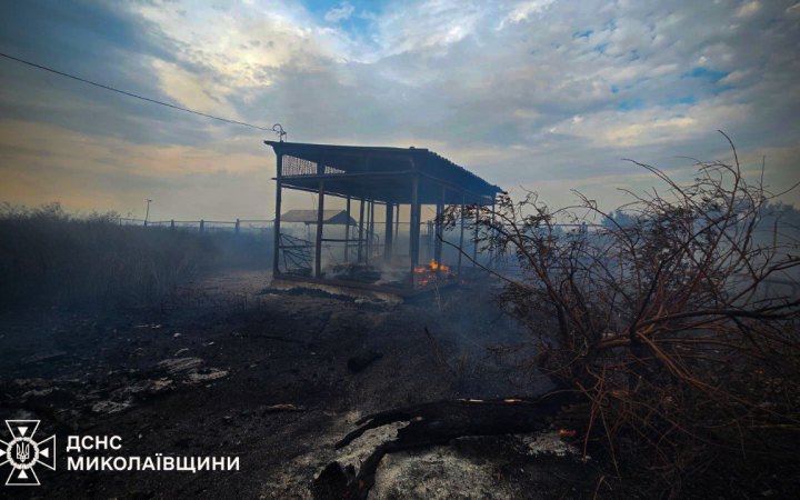 На Миколаївщині росіяни пошкодили енергоінфраструктуру, майже 900 споживачів без світла