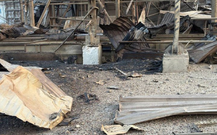 Армія Росії пошкодила два цивільні судна із зерном в Одеській області