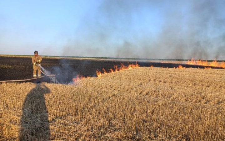 Через дронову атаку на Миколаївщині горіло пшеничне поле