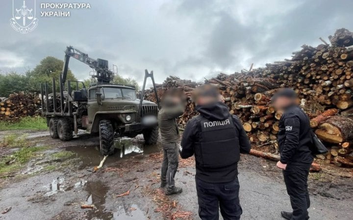 На Житомирщині викрили осіб, причетних до вирубки дерев на 33 млн гривень